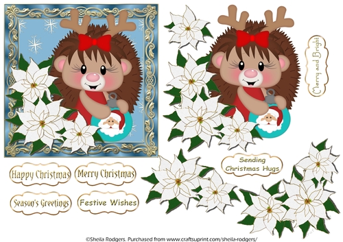 Christmas Hedgehog and White Poinsettia