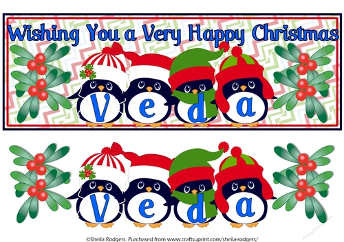 PENGUIN HATS NAMES - VEDA