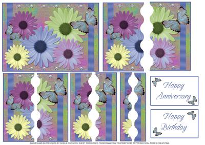 Daisies and Butterflies