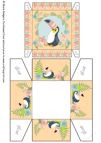 Baby Toucan Gift Box