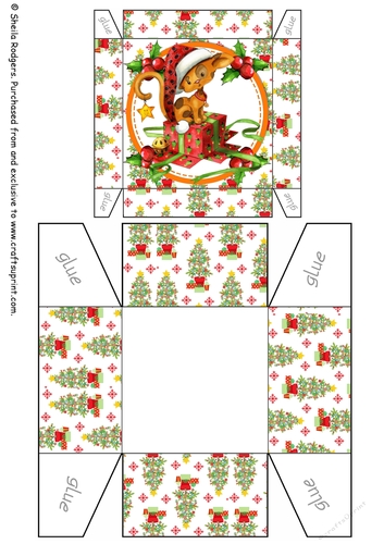 CHRISTMAS CAT ON BOX GIFT BOX