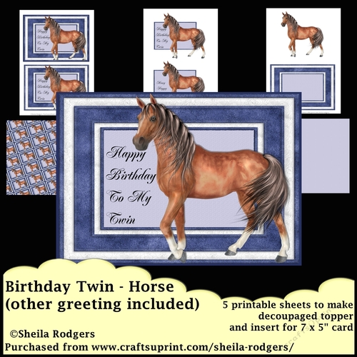 BIRTHDAY TWIN - HORSE
