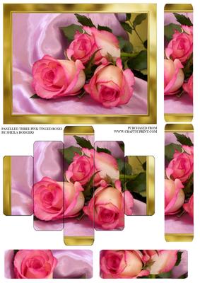 Panelled Three Pink Tinged Roses