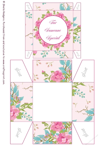 Pink Hydrangea Someone Special Gift Box