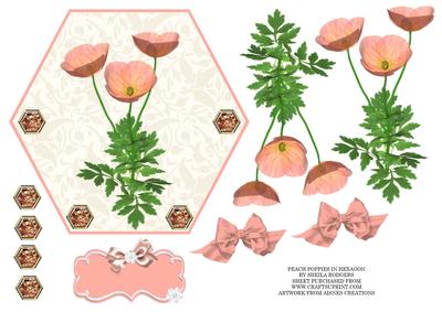 Peach Poppies in Hexagon