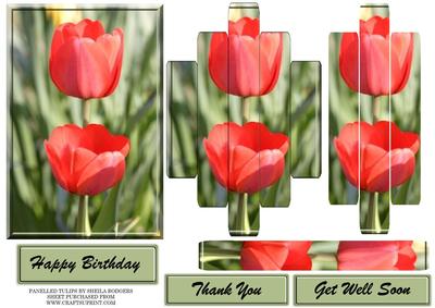 Panelled Tulips