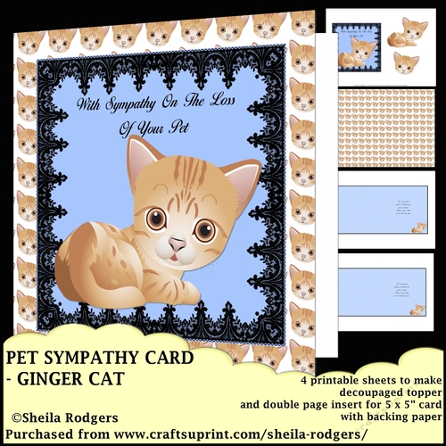 PET SYMPATHY CARD - GINGER CAT