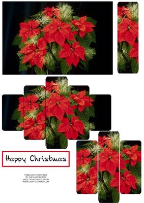 Panelled Poinsettia