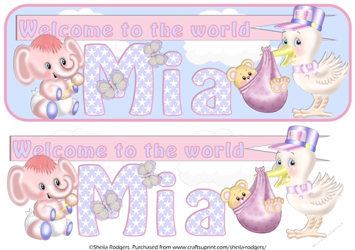 WELCOME BABY NAMES - MIA