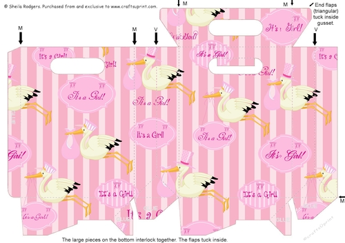 Gusset Sided Gift Bag - Pink Stork 1