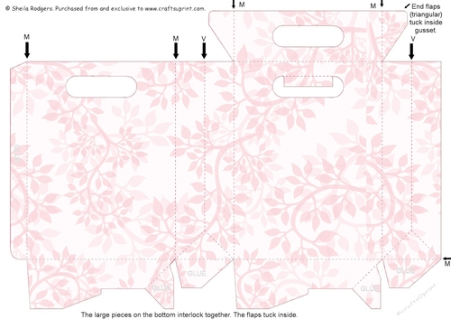 Gusset Sided Gift Bag - Pink Vines