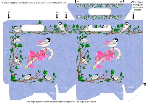 Gusset Sided Gift Bag - Christmas Bird on Candycane.