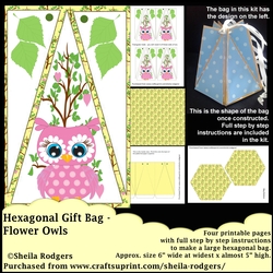 HEXAGONAL GIFT BAG - FLOWER OWLS