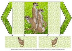 Meerkats Triangle Front Gatefold