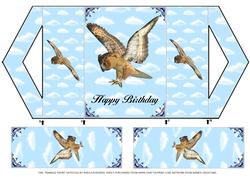 Owl Triangle Front Gatefold