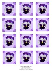 Purple Pansy Tea Bag Tiles