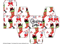 All In One Gift Box - Christmas Cats 2
