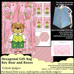 HEXAGONAL GIFT BAG - BOY BEAR AND ROSES