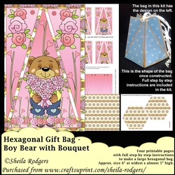 HEXAGONAL GIFT BAG - BOY BEAR WITH BOUQUET