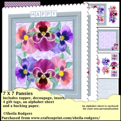 7X7 Pansies