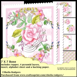 7x7 Pink Rose