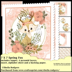 7x7 Spring Fox