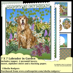 7x7 Labrador in Garden
