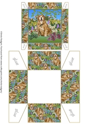 GIFT BOX - LABRADOR IN GARDEN