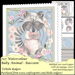 7x7 Watercolour Baby Animal - Raccoon