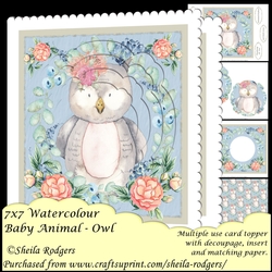7x7 Watercolour Baby Animal - Owl
