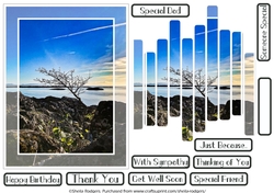 SLAT CARD - TREE BY SEA