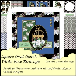 Square Oval Sketch - White Rose Birdcage