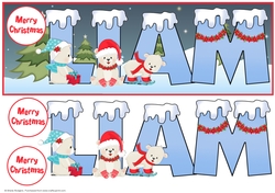 POLAR BEAR NAMES - LIAM