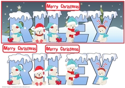 POLAR BEAR NAMES - RILEY