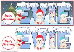 POLAR BEAR NAMES - EVIE