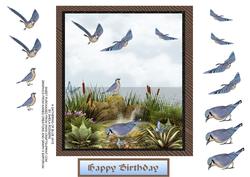 A Gathering of Blue Jays