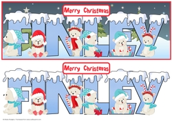 POLAR BEAR NAMES - FINLEY