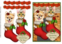 Pets in Stockings 1