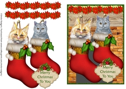 Pets in Stockings 2