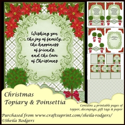 Christmas Topiary and Poinsettia
