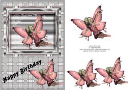 Salmon Pink Fairy