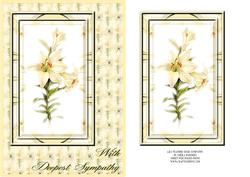Lily Feather Edge Sympathy