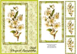 White Blossom Sympathy