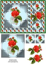 Red Roses Galore!