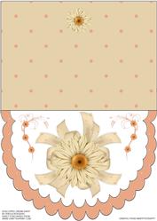 Scalloped Cream Daisy