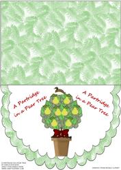 A Partridge in a Pear Tree
