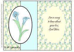 Blue Calla Lily Sympathy