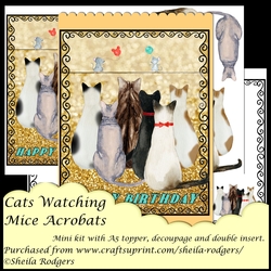 CATS WATCHING MICE ACROBATS