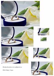 The Engagement Ring