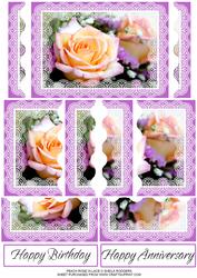 Peach Rose in Lace